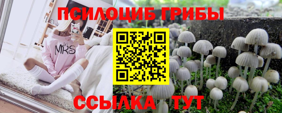 Коряжма  Галлюциногенные грибы MAGIC MUSHROOMS  Вход с VPN 
