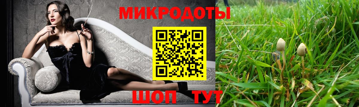 Псилоцибиновые грибы Cubensis Коряжма